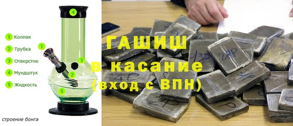 прущие грибы Аркадак