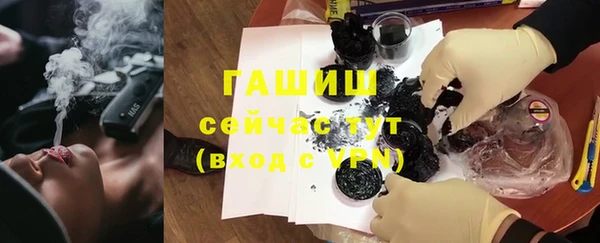 прущие грибы Аркадак