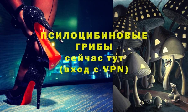 кокс Арсеньев