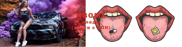 прущие грибы Аркадак