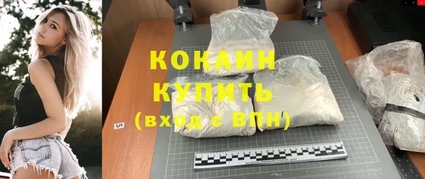 прущие грибы Аркадак